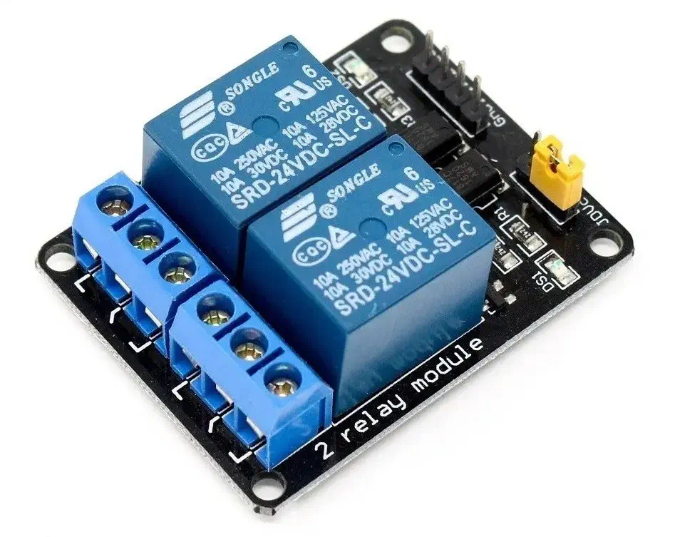 Dual-channel relay with 24 V DC support